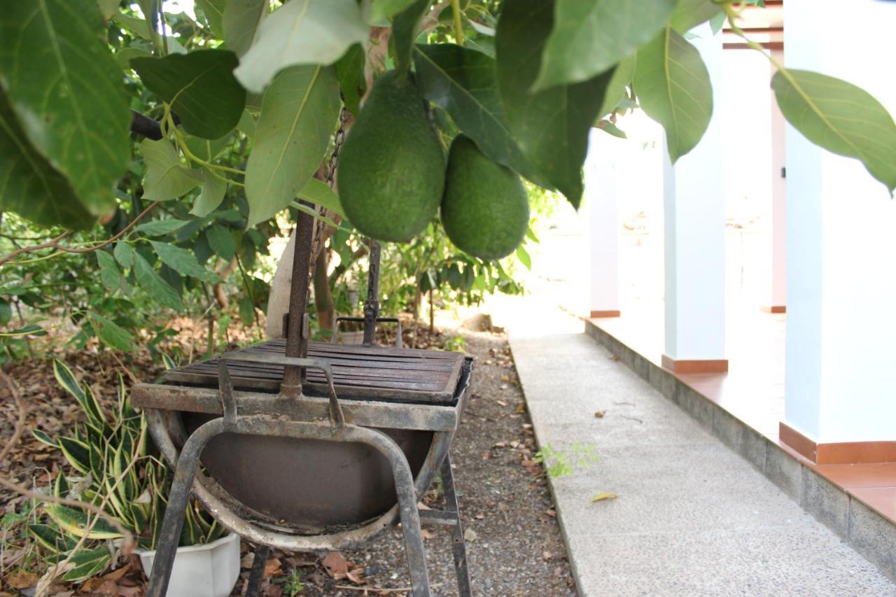 Casita Lily Villa Las Palmas de Gran Canaria Bagian luar foto